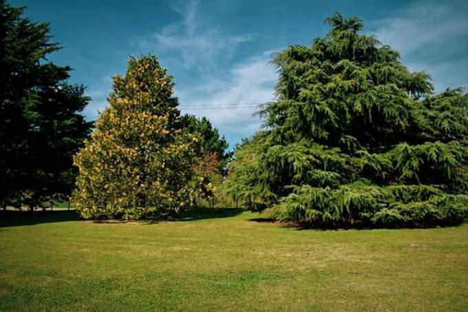 Village Park Tandil Buitenkant foto